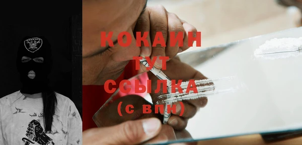 spice Белокуриха