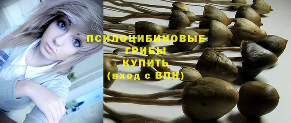 a pvp Балахна