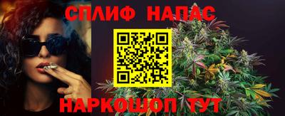 МДПВ Кингисепп