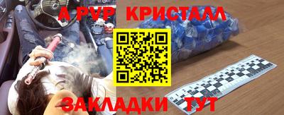 МДПВ Кингисепп