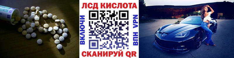 где найти наркотики  Кстово  ЛСД экстази ecstasy 