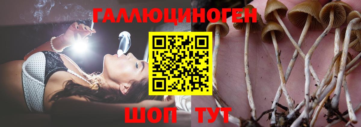 Кстово  ГАШ  ЭКСТАЗИ  Вход с VPN  A-PVP СОЛЬ кристаллы  МЕФ  